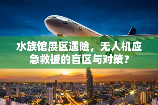 水族馆展区遇险，无人机应急救援的盲区与对策？
