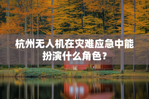 杭州无人机在灾难应急中能扮演什么角色？