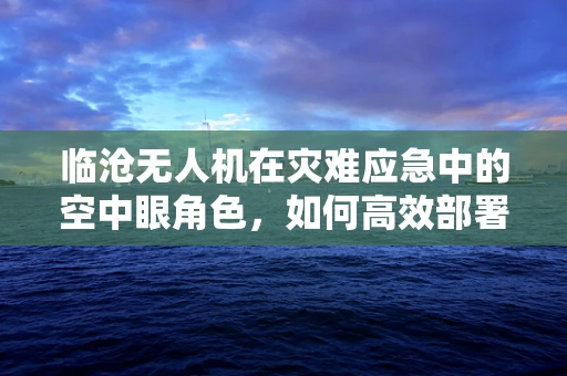 临沧无人机在灾难应急中的空中眼角色，如何高效部署与挑战并存？