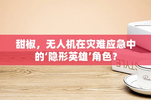 甜椒，无人机在灾难应急中的‘隐形英雄’角色？