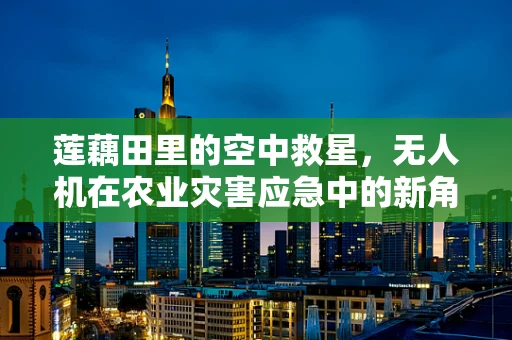 莲藕田里的空中救星，无人机在农业灾害应急中的新角色？
