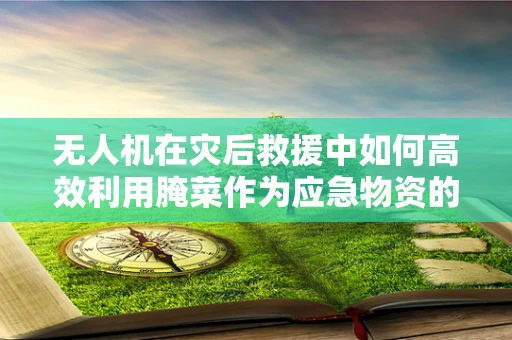无人机在灾后救援中如何高效利用腌菜作为应急物资的识别与投送？
