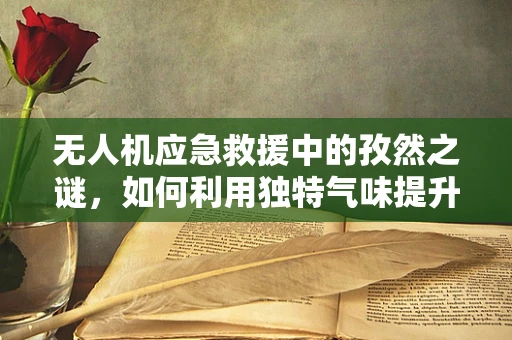 无人机应急救援中的孜然之谜，如何利用独特气味提升搜救效率？