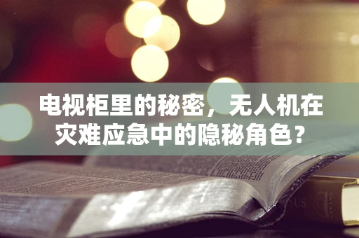 电视柜里的秘密，无人机在灾难应急中的隐秘角色？