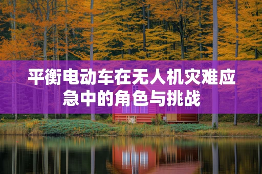 平衡电动车在无人机灾难应急中的角色与挑战