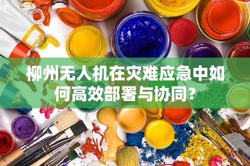 柳州无人机在灾难应急中如何高效部署与协同？