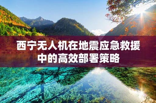 西宁无人机在地震应急救援中的高效部署策略