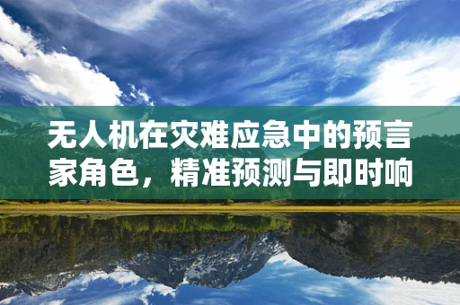 无人机在灾难应急中的预言家角色，精准预测与即时响应的桥梁