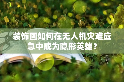 装饰画如何在无人机灾难应急中成为隐形英雄？