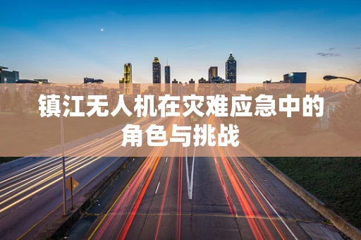 镇江无人机在灾难应急中的角色与挑战
