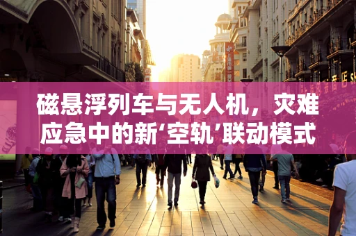 磁悬浮列车与无人机，灾难应急中的新‘空轨’联动模式？