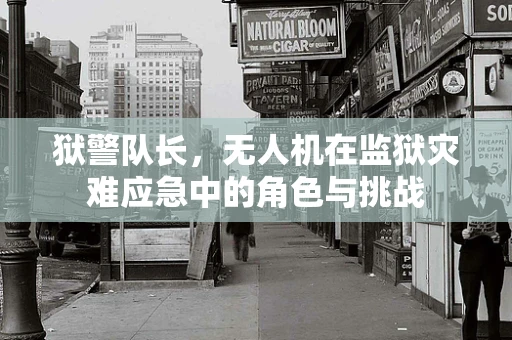 狱警队长，无人机在监狱灾难应急中的角色与挑战