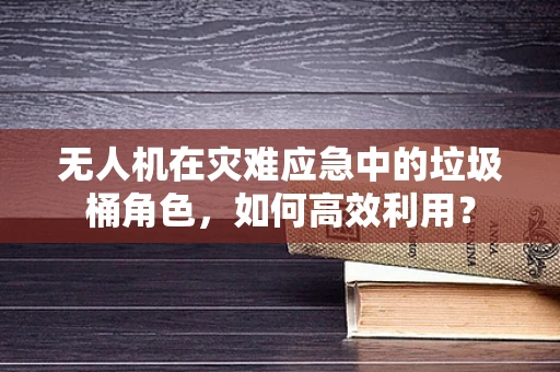 无人机在灾难应急中的垃圾桶角色，如何高效利用？