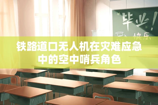 铁路道口无人机在灾难应急中的空中哨兵角色