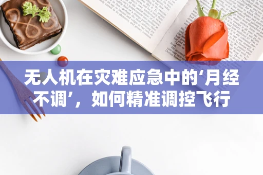 无人机在灾难应急中的‘月经不调’，如何精准调控飞行计划？
