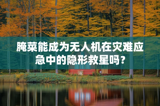 腌菜能成为无人机在灾难应急中的隐形救星吗？