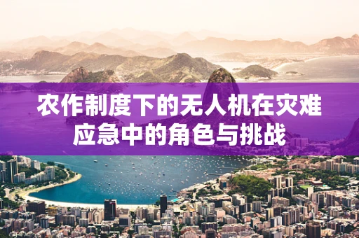 农作制度下的无人机在灾难应急中的角色与挑战