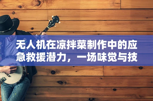 无人机在凉拌菜制作中的应急救援潜力，一场味觉与技术的奇妙碰撞？