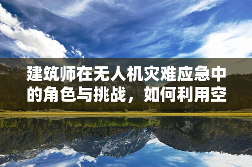 建筑师在无人机灾难应急中的角色与挑战，如何利用空中视角优化灾后重建规划？
