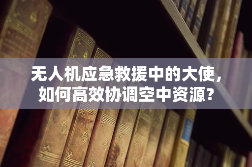 无人机应急救援中的大使，如何高效协调空中资源？