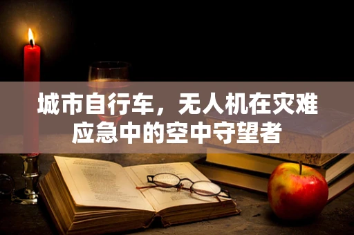 城市自行车，无人机在灾难应急中的空中守望者