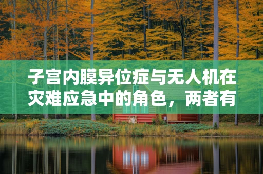子宫内膜异位症与无人机在灾难应急中的角色，两者有何交集？