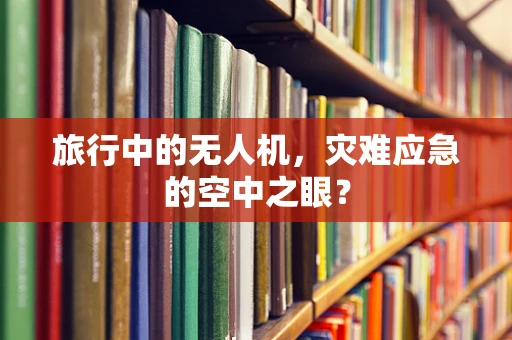 旅行中的无人机，灾难应急的空中之眼？