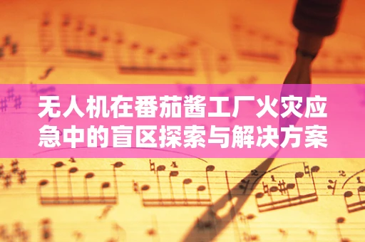 无人机在番茄酱工厂火灾应急中的盲区探索与解决方案