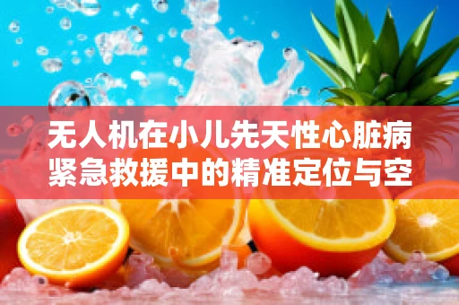 无人机在小儿先天性心脏病紧急救援中的精准定位与空中医疗输送挑战