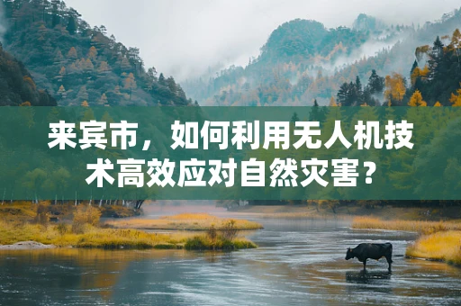 来宾市，如何利用无人机技术高效应对自然灾害？