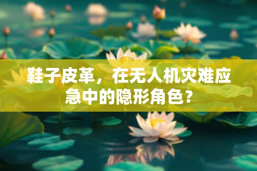 鞋子皮革，在无人机灾难应急中的隐形角色？