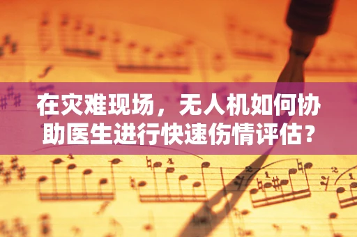 在灾难现场，无人机如何协助医生进行快速伤情评估？