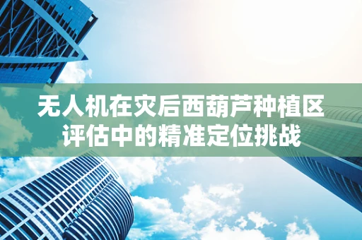 无人机在灾后西葫芦种植区评估中的精准定位挑战