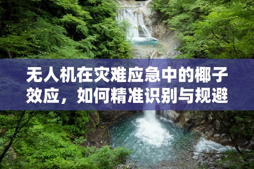 无人机在灾难应急中的椰子效应，如何精准识别与规避？