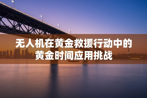 无人机在黄金救援行动中的黄金时间应用挑战