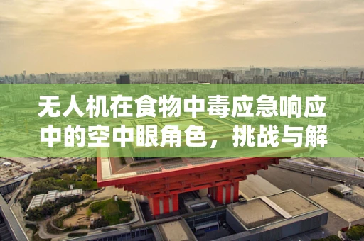 无人机在食物中毒应急响应中的空中眼角色，挑战与解决方案