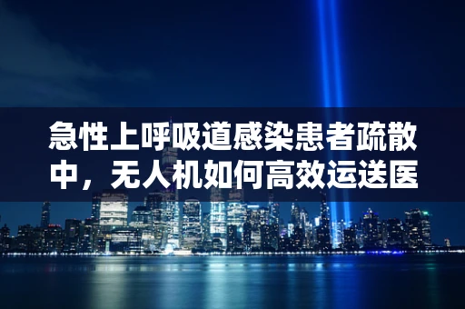 急性上呼吸道感染患者疏散中，无人机如何高效运送医疗物资？