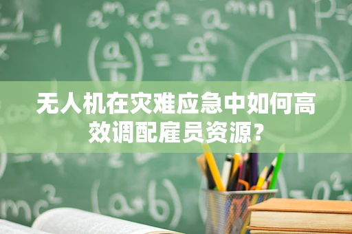无人机在灾难应急中如何高效调配雇员资源？