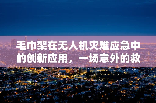 毛巾架在无人机灾难应急中的创新应用，一场意外的救援灵感？
