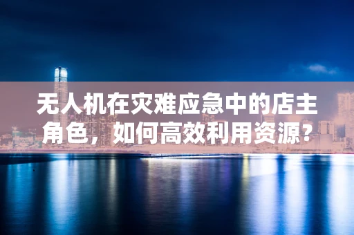 无人机在灾难应急中的店主角色，如何高效利用资源？