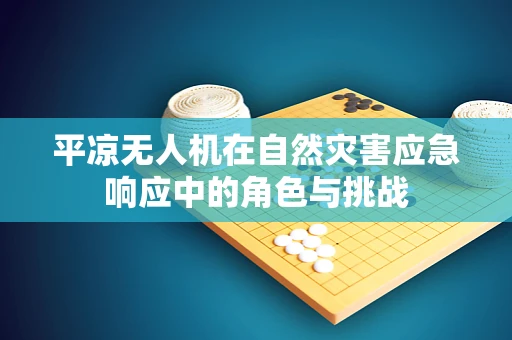 平凉无人机在自然灾害应急响应中的角色与挑战