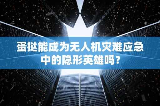 蛋挞能成为无人机灾难应急中的隐形英雄吗？