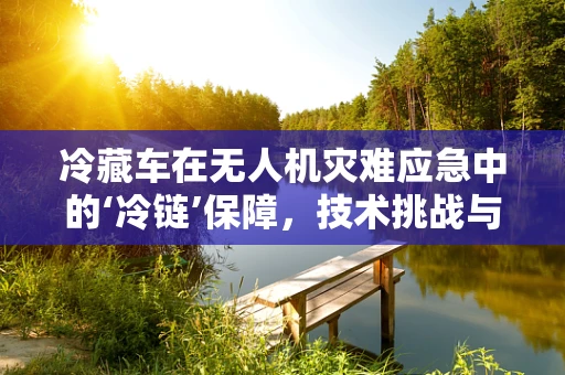 冷藏车在无人机灾难应急中的‘冷链’保障，技术挑战与解决方案