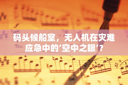 码头候船室，无人机在灾难应急中的‘空中之眼’？