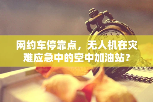 网约车停靠点，无人机在灾难应急中的空中加油站？