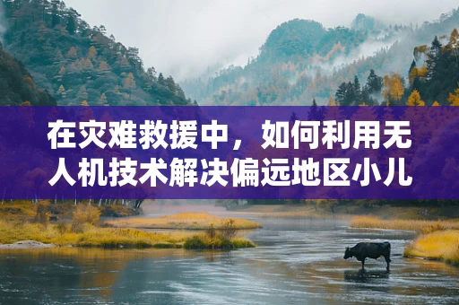 在灾难救援中，如何利用无人机技术解决偏远地区小儿营养不良问题？