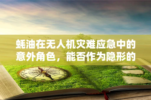 蚝油在无人机灾难应急中的意外角色，能否作为隐形的生命线？