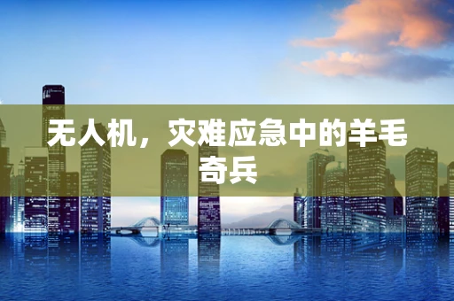 无人机，灾难应急中的羊毛奇兵