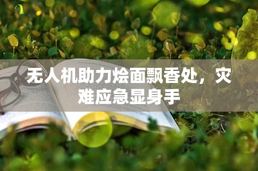 无人机助力烩面飘香处，灾难应急显身手