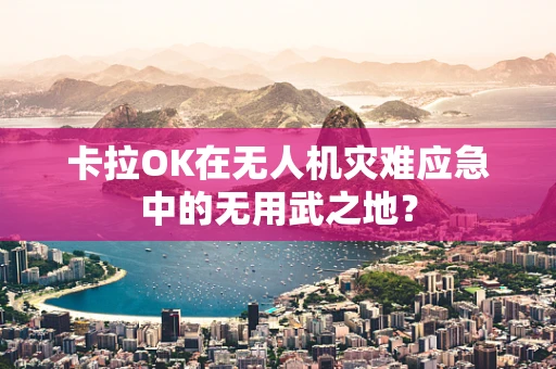 卡拉OK在无人机灾难应急中的无用武之地？